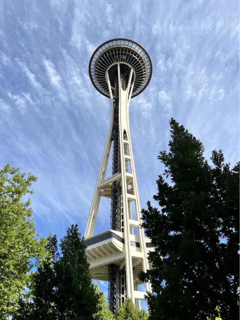 TaRDIS at ECOOP'23 - Seattle Needle